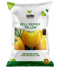 Bell Pepper Yellow 10 grams 